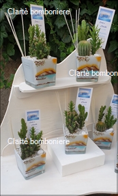 Le grassocce Linea Napoli for ever 2023