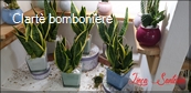 Le grassocce Linea Santorini 2023
