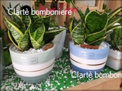 Le grassocce Linea Miste 2023