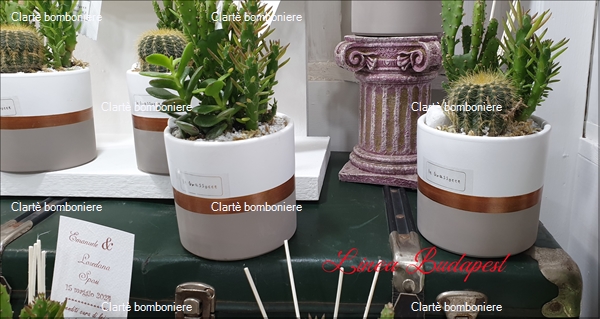 Ritorna alla ricerca per: Le grassocce - Linea Budapest