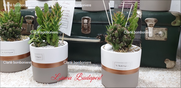 Ritorna alla ricerca per: Le grassocce - Linea Budapest