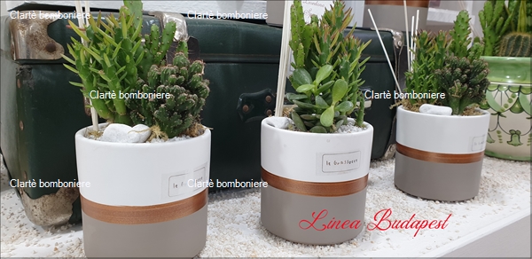 Ritorna alla ricerca per: Le grassocce - Linea Budapest