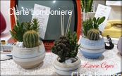 Le grassocce - Linea Capri
