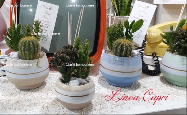 Ritorna alla ricerca per: Le grassocce - Linea Capri