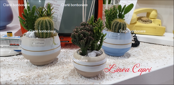 Ritorna alla ricerca per: Le grassocce - Linea Capri