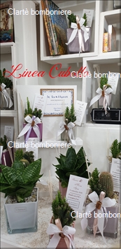 Le grassocce - Linea Cubotto