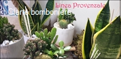 Le grassocce - Linea Provenzale