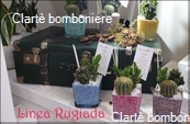 Le grassocce - Linea Rugiada