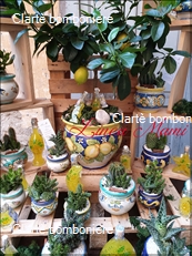 Le grassocce - Linea Mami