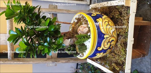Ritorna alla ricerca per: Le grassocce Linea Mami2023