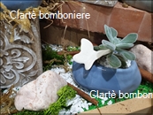 Le grassocce - Linea Ciottoli