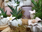 Le grassocce - Linea Deliziose